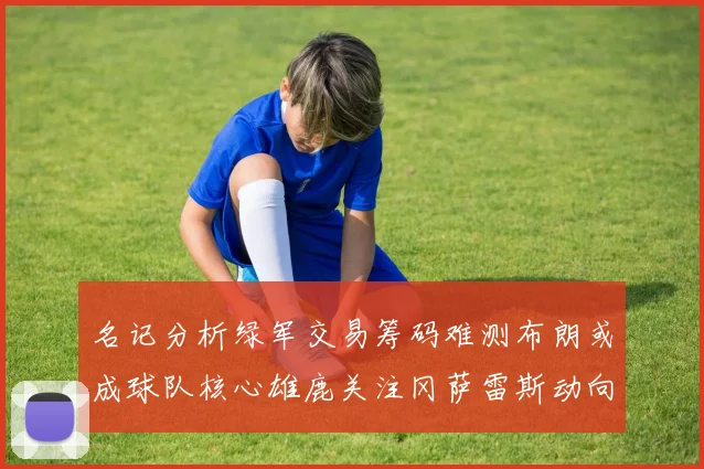 名记分析绿军交易筹码难测布朗或成球队核心雄鹿关注冈萨雷斯动向